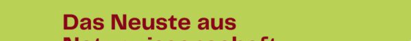 Blog-Banner: MINT